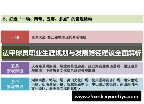 法甲球员职业生涯规划与发展路径建议全面解析