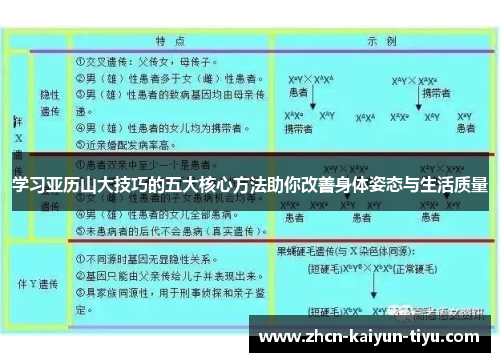 学习亚历山大技巧的五大核心方法助你改善身体姿态与生活质量