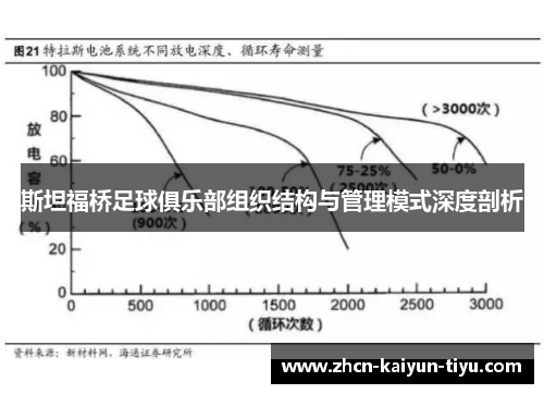 斯坦福桥足球俱乐部组织结构与管理模式深度剖析